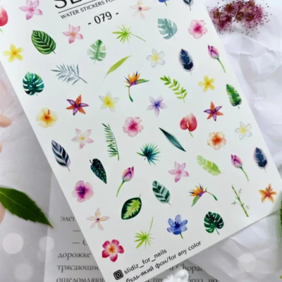 Slidiz - Vizes matrica - 079