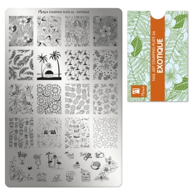 Moyra nyomdalemez 66 Exotique