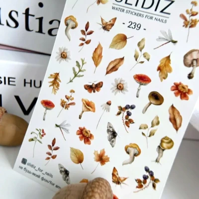 Slidiz - Vizes matrica - 239