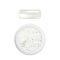 Moyra Mirror Powder No. 08 Clear