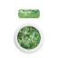 Moyra holo glitter mix No. 08 Green 1 g