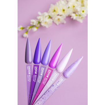 "DNKa" COLOR GEL POLISH, 12 ml #0044
