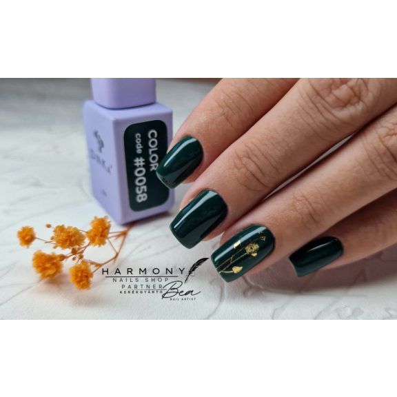 "DNKa" COLOR GEL POLISH, 12 ml #0058