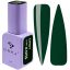 "DNKa" COLOR GEL POLISH, 12 ml #0115