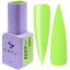 "DNKa" COLOR GEL POLISH, 12 ml #0119