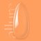 allure 017 prémium papaya gél lakk