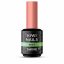 Best Shine Ever