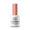 SPEED & SHINE TOP COAT