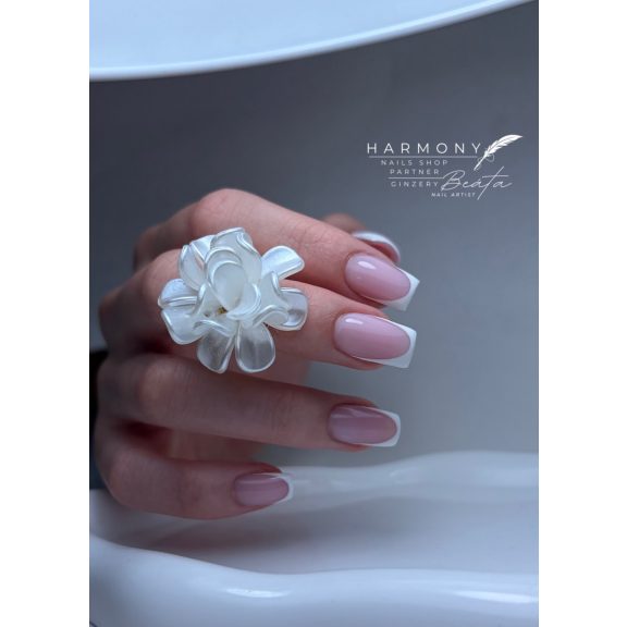 Victoria Vynn - Master Gel - 11 Light Rose - Acryl Gel 60g